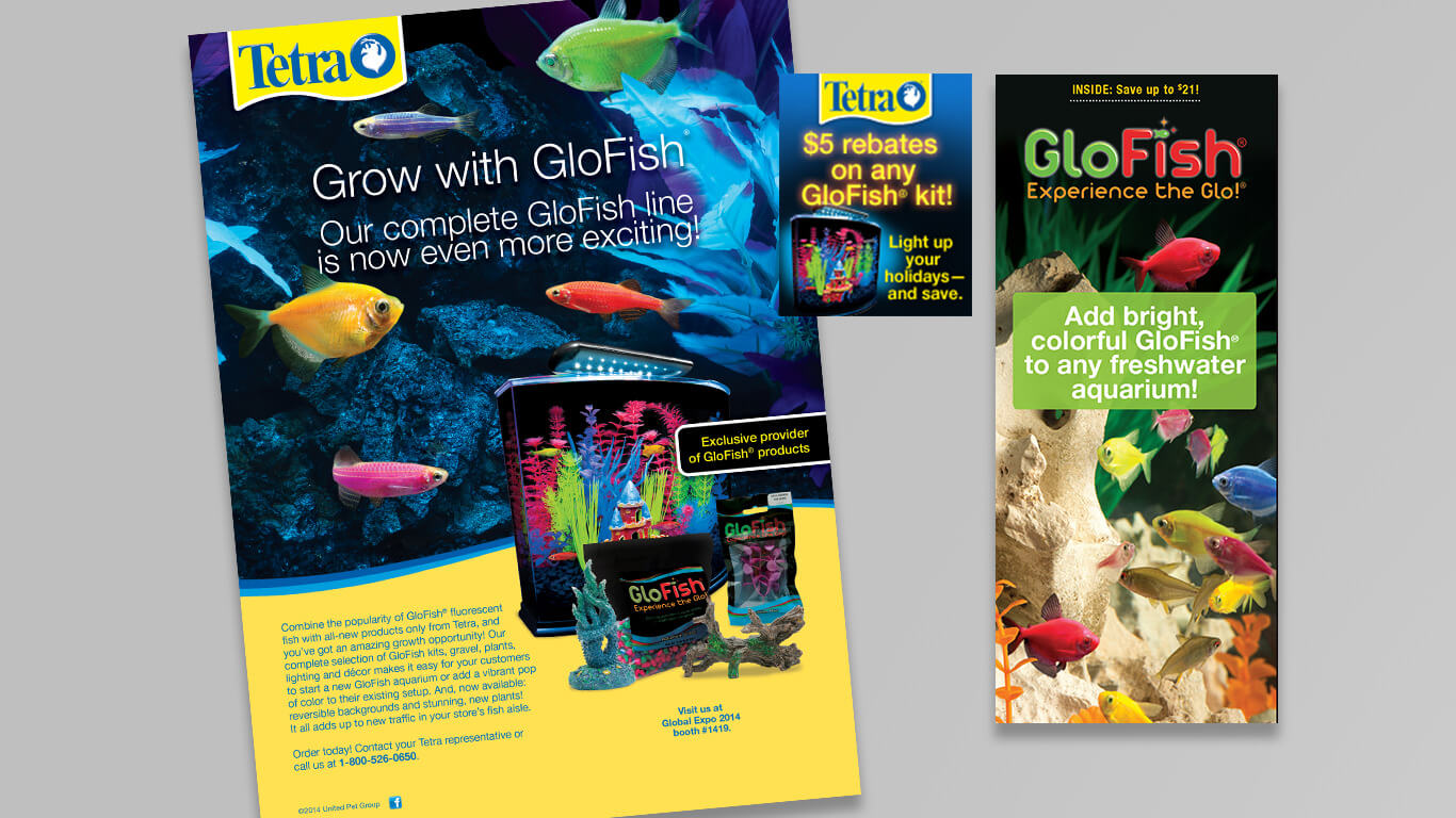 Glofish kit on sale