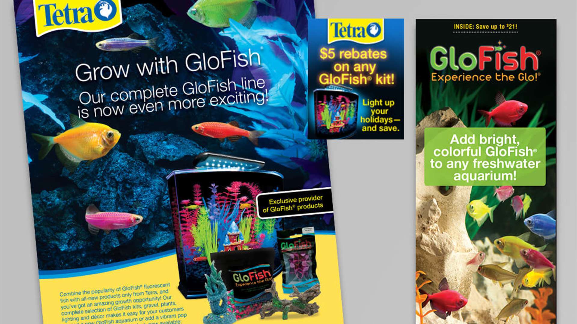 Case Study – Tetra® brand GloFish® Market Introduction